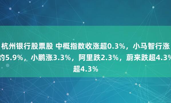 杭州银行股票股 中概指数收涨超0.3%，小马智行涨约5.9%，小鹏涨3.3%，阿里跌2.3%，蔚来跌超4.3%